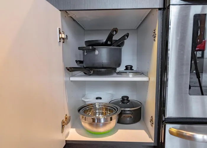 Stylish 2br With Optional Parking & Gym Access Near Lakefront, Shedd Aquarium And Mccormick Center Chicago