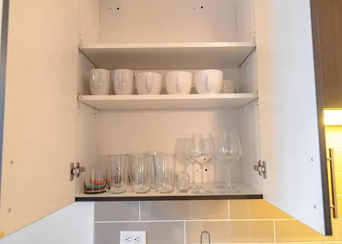 Stylish 2br With Optional Parking & Gym Access Near Lakefront, Shedd Aquarium And Mccormick Center
